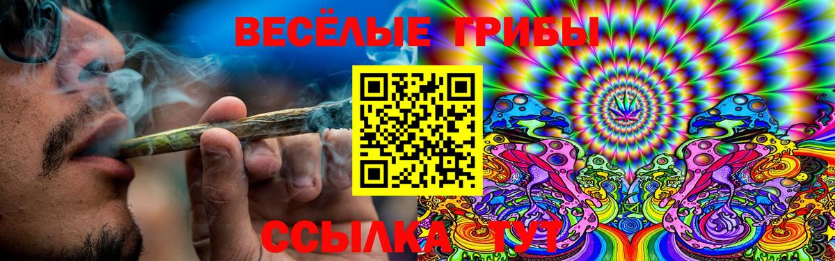 Златоуст  Галлюциногенные грибы Magic Shrooms  Вход с VPN  Галлюциногенные грибы Cubensis 